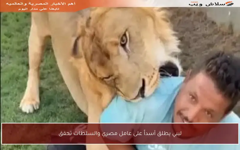 ليبي يطلق أسداً على عامل مصري والسلطات تحقق