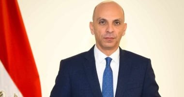 متحدث الخارجية: تراجع دور مصر بالقضية الفلسطينية “عبث سياسي”
