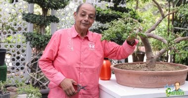 محمد مصطفى شردى بعد القبض على ميدو: احذروا غضب الشعب المصري