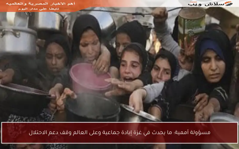 مسؤولة أممية: ما يحدث في غزة إبادة جماعية وعلى العالم وقف دعم الاحتلال