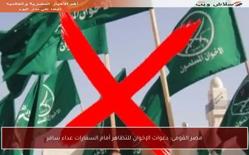 مصر القومى: دعوات الإخوان للتظاهر أمام السفارات عداء سافر