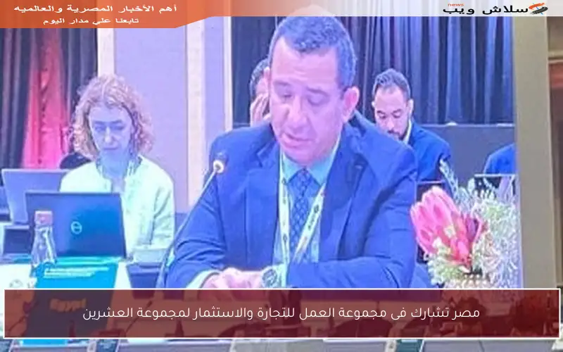 مصر تشارك فى مجموعة العمل للتجارة والاستثمار لمجموعة العشرين