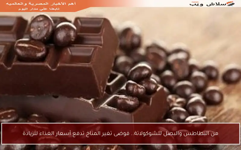 من البطاطس والبصل للشوكولاتة.. فوضى تغير المناخ تدفع أسعار الغذاء للزيادة