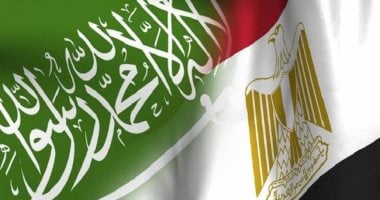 نائب بالشيوخ: زيارة الرئيس السيسي للسعودية تجسد متانة التحالف المصري السعودي