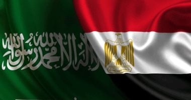 نائبة: الشراكة المصرية السعودية ركيزة لاستقرار المنطقة والأمن القومى العربى