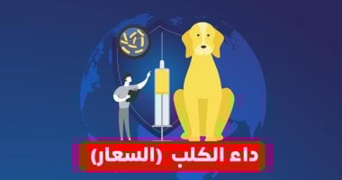 وزارة الصحة تحذر: 4 خطوات عاجلة عند التعرض لعضة أو خدش حيوان مسعور