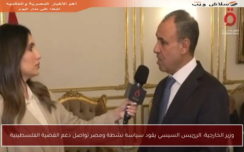 وزير الخارجية: الرئيس السيسي يقود سياسة نشطة ومصر تواصل دعم القضية الفلسطينية