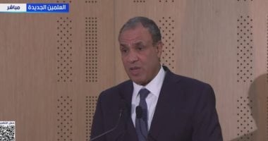وزير الخارجية: تهجير الفلسطينيين خط أحمر لن نسمح بحدوثه