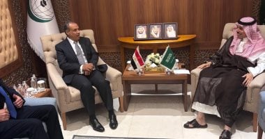 وزير خارجية مصر والسعودية يؤكدان رفضهما العدوان الإسرائيلى المتواصل على غزة