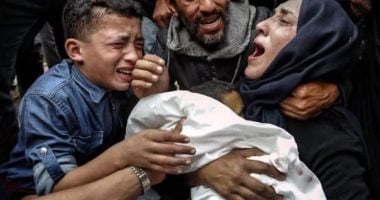 بيان وزارى عربى وإسلامى يدعو إلى وقف إطلاق النار الفورى فى قطاع غزة