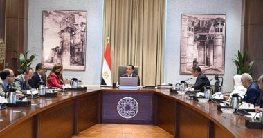 رئيس الوزراء يستعرض الإجراءات المقترحة للتعامل مع انهيار بعض العقارات