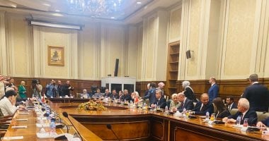 مجلسا النواب والشيوخ يناقشان مع وفد برلمانى تركى القضية الفلسطينية