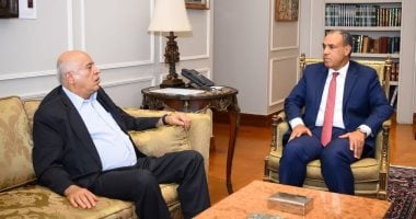 وزير الخارجية يستعرض جهود مصر لوقف الحرب الإسرائيلية على قطاع غزة